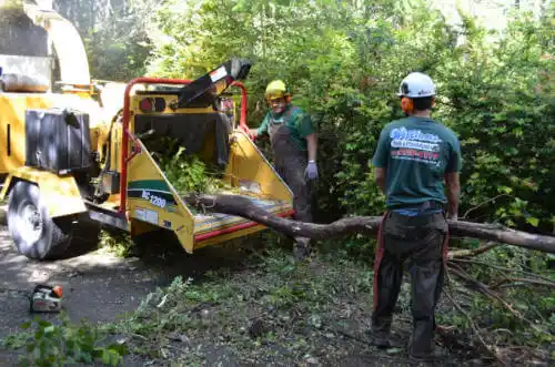 tree services Hoxie